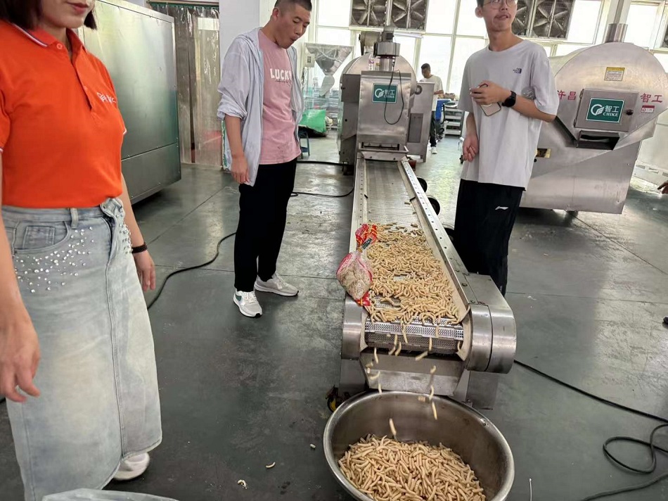 流水線電磁炒貨機